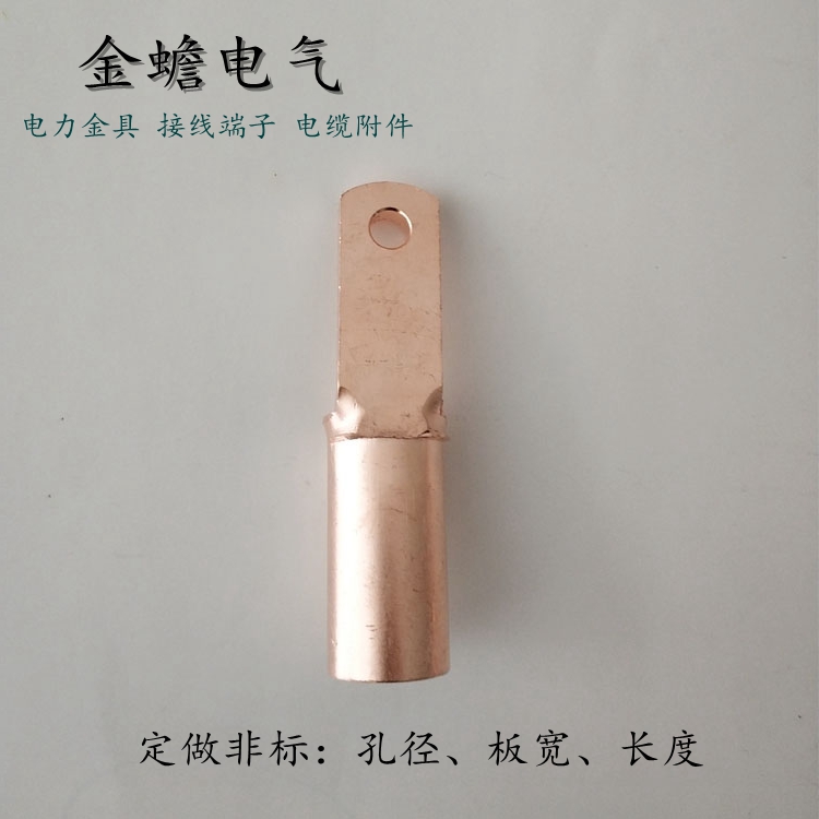 非標孔徑銅鼻子定做 可定制孔徑大小